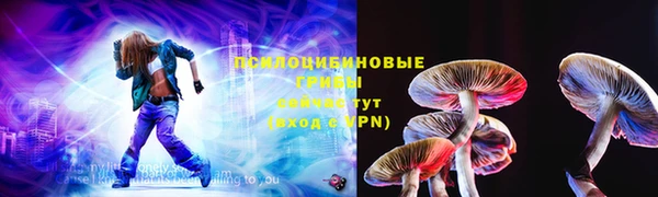 хмурый Алексеевка