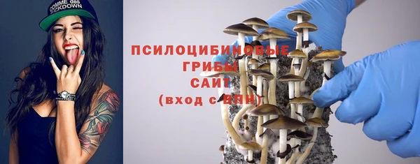 крисы Абинск