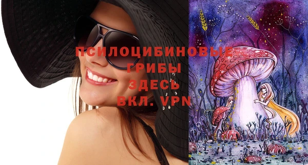 ешки Абдулино