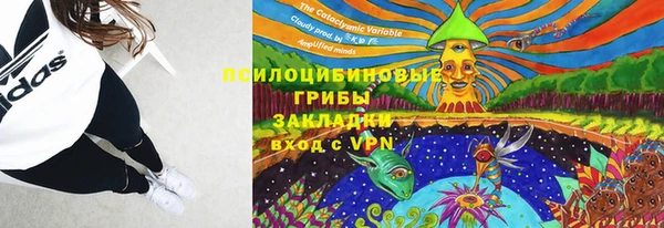 хмурый Алексеевка